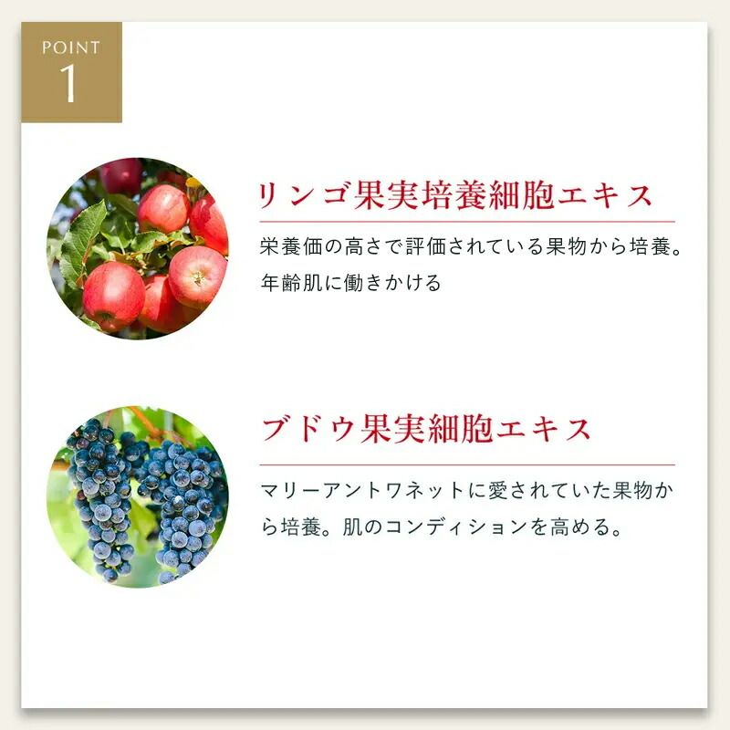 楽天市場】モイストオイル クレンジングウォーター【MEGUMI開発