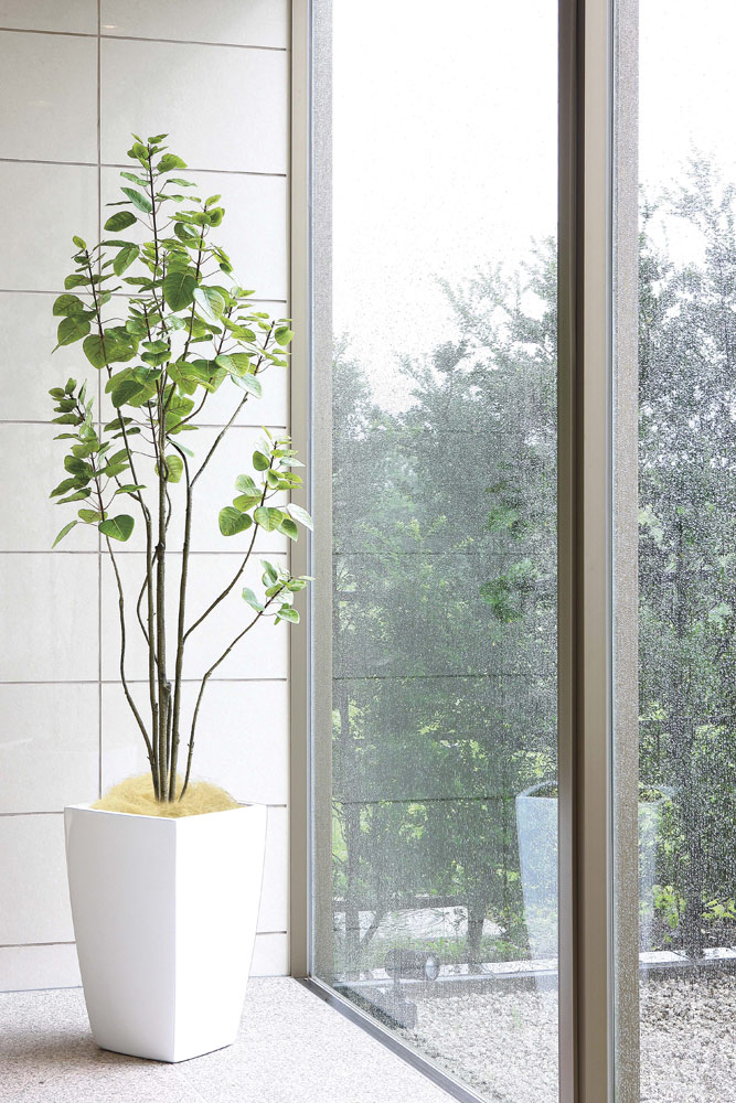 楽天市場】光触媒観葉植物 アーバンブランチツリー1.8 〔フロアタイプ