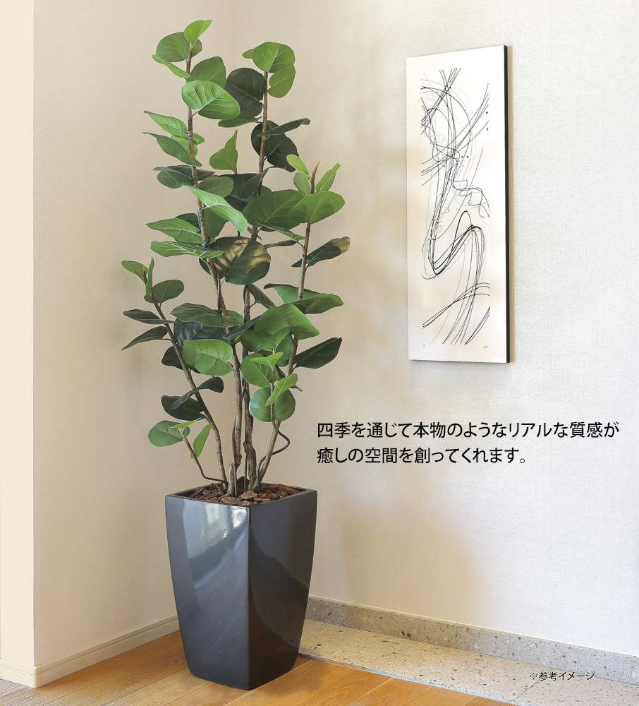 楽天市場】光触媒観葉植物 アーバンシーグレープ1.35 〔フロアタイプ