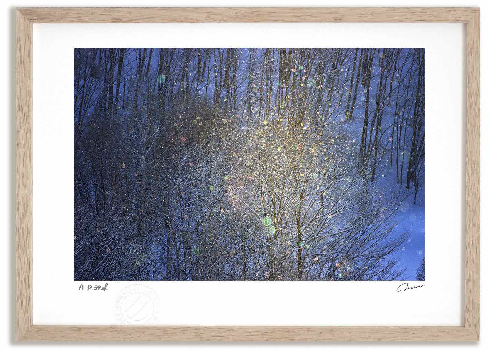 楽天市場】アートフォト 絵画 七色のダイヤモンドダスト1 高橋真澄