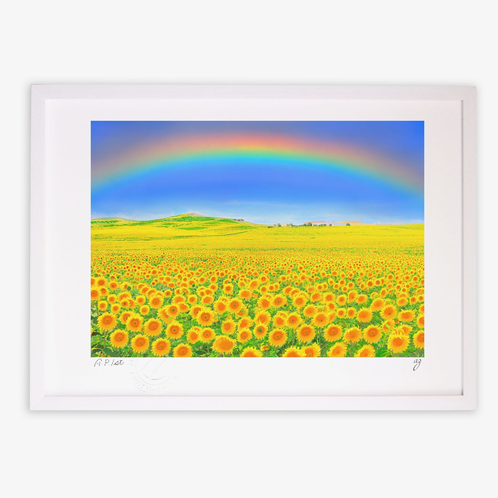 楽天市場】版画 絵画 ひまわりの丘1 スペイン・アンダルシア