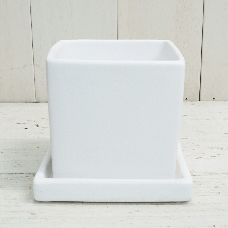 楽天市場】植木鉢 おしゃれ 陶器鉢 オストキューブS＜ 11cm 白 マット