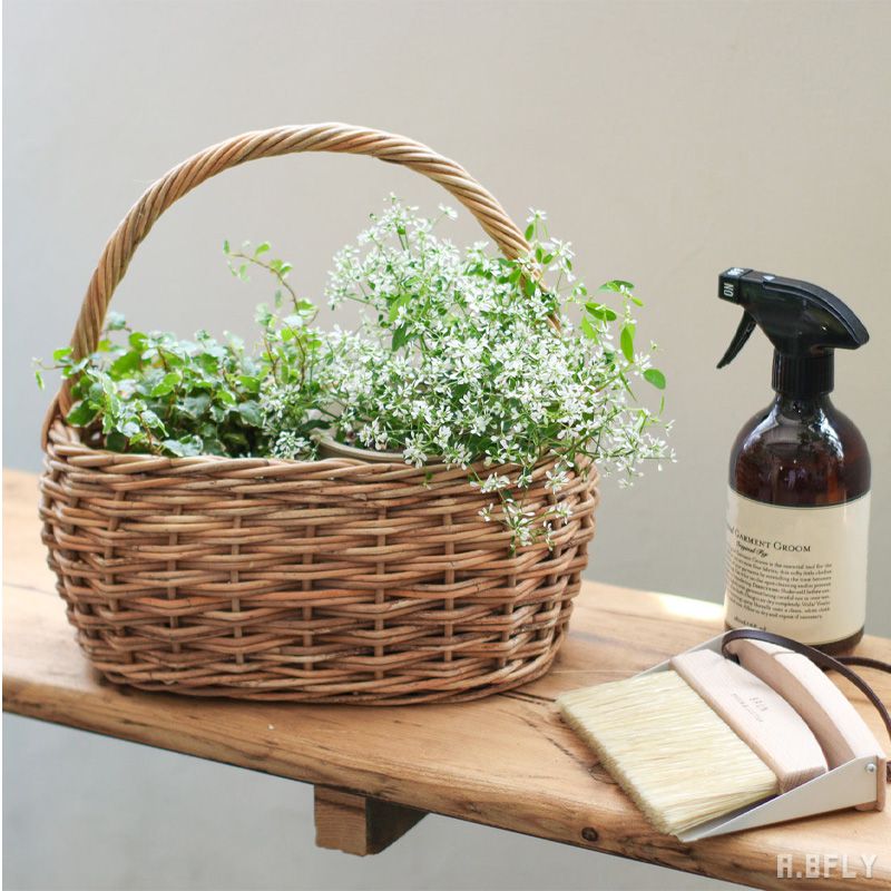 楽天市場】バスケット オーバル 楕円形 ワンハンドル プランター 収納