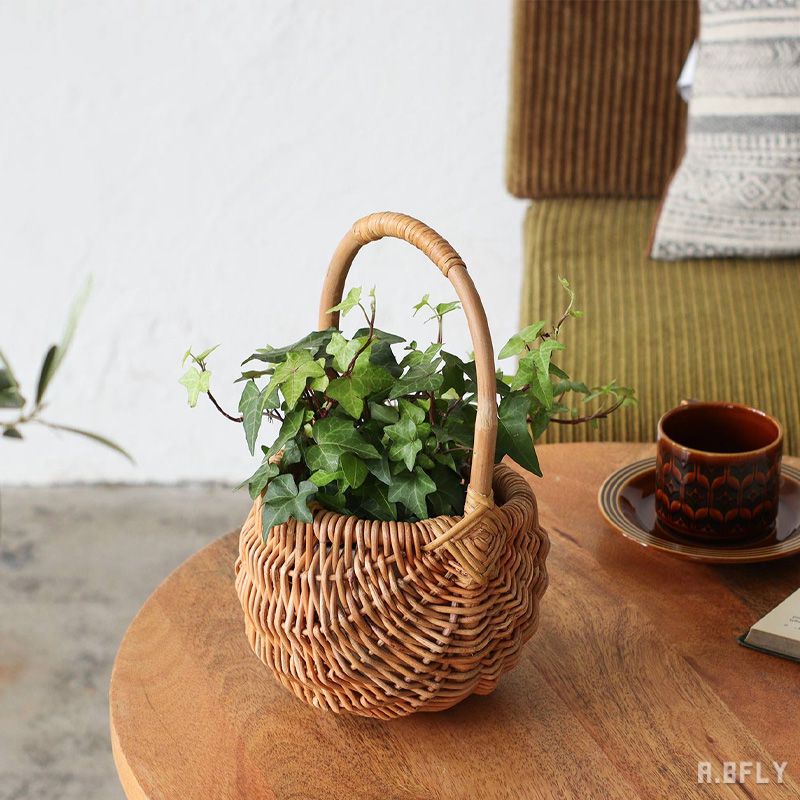 楽天市場】【最大6,000円クーポン配布中】アラログ 皮付きラタン 持ち