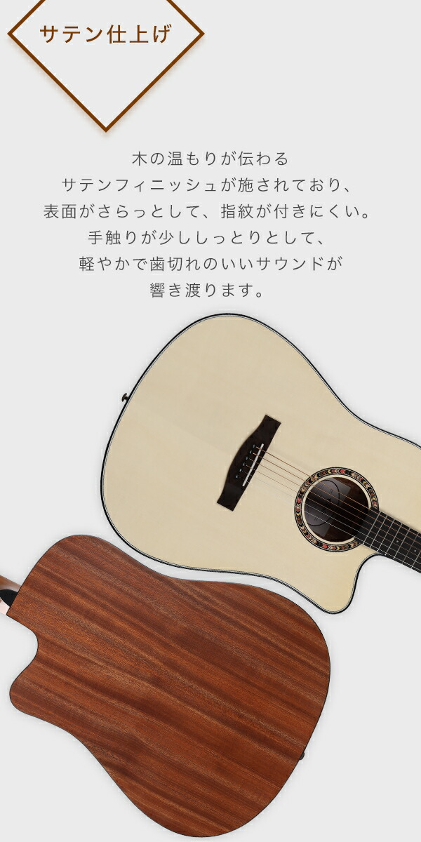 楽天市場】タイムセール【初心者セット8点】ELVISエルビス Master 1