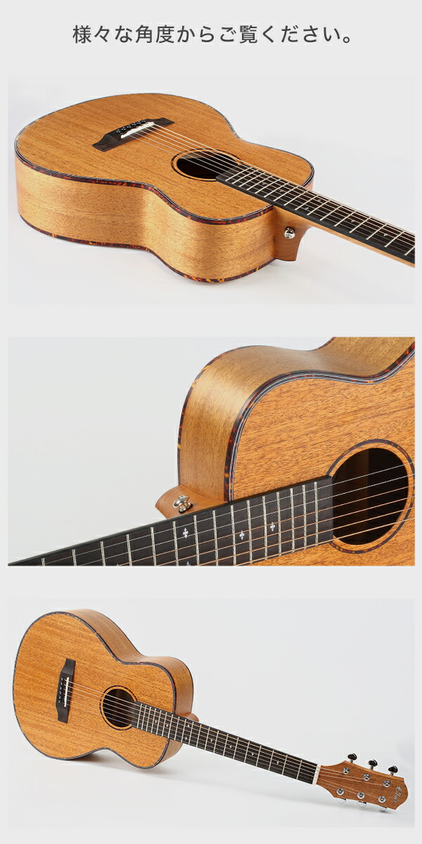 楽天市場】【初心者定番9点セット】ELVISエルビス Master Mini 10