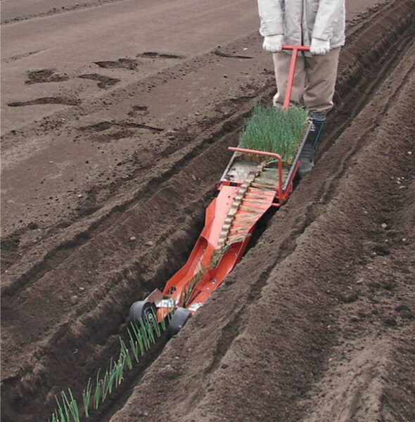 楽天市場】ひっぱりくん HP-16 チェーンポット簡易移植器 （溝切深さ