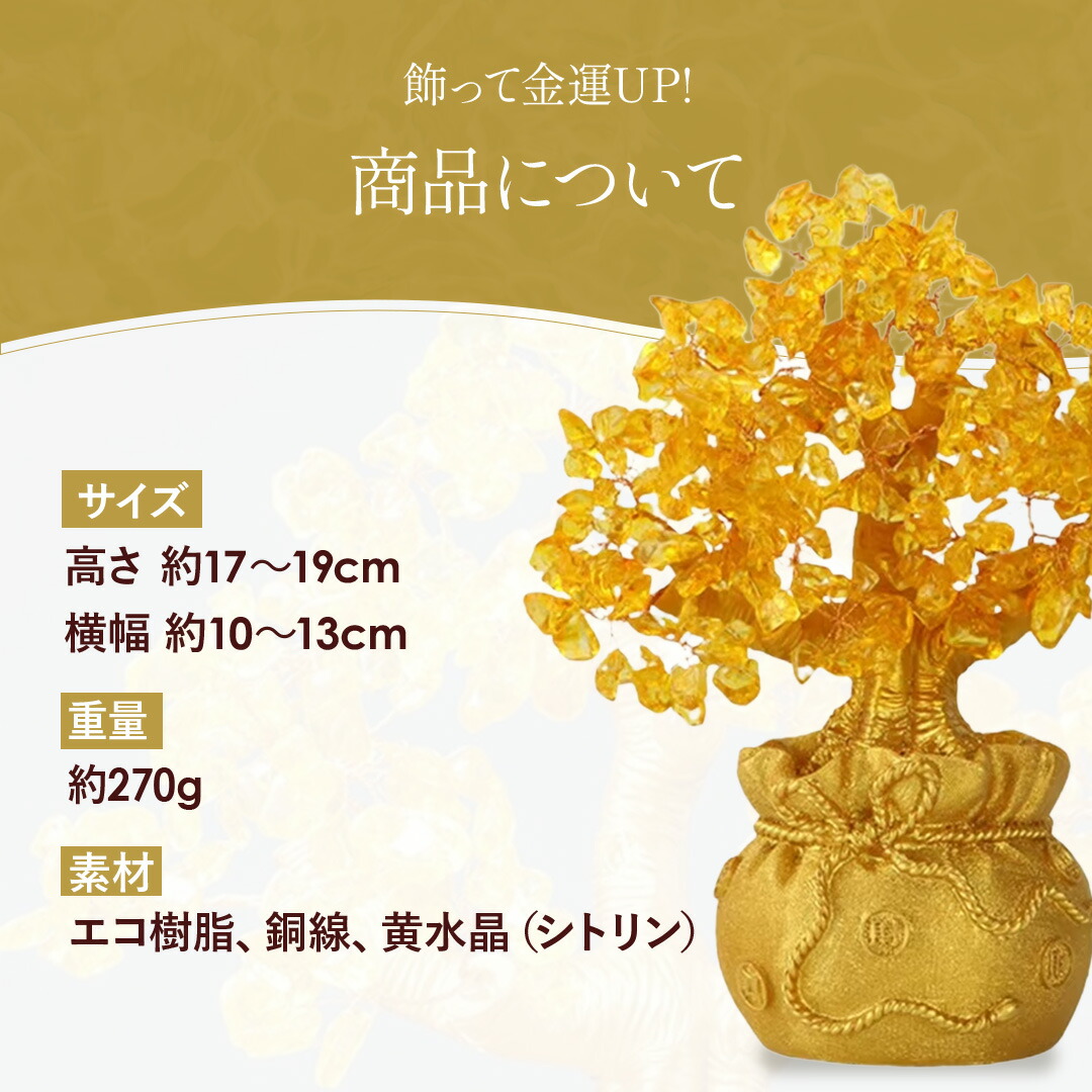楽天市場】【ランキング1位6冠達成】風水 黄金木 招財樹 金のなる木 黄