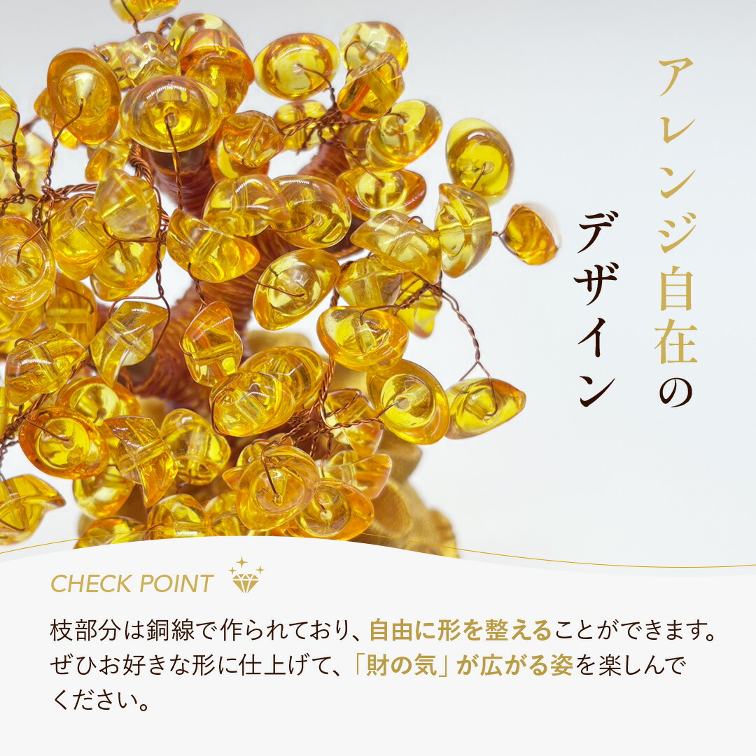 楽天市場】【ランキング1位6冠達成】風水 黄金木 招財樹 金のなる木 黄