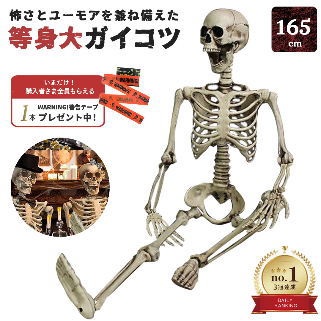 楽天市場】等身大 ガイコツの通販