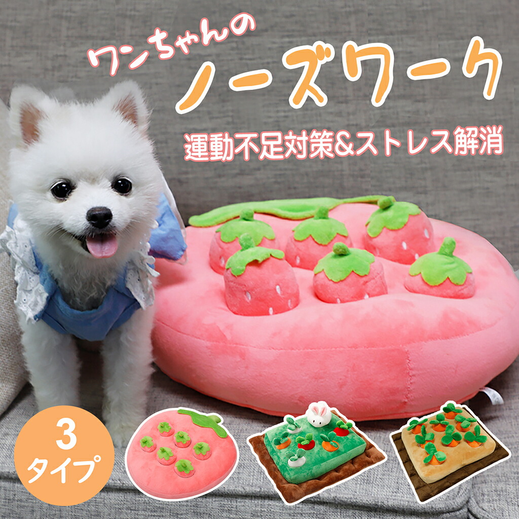 楽天市場】インスタで大人気 楽天ランキング1位 即納 犬 知育おもちゃ