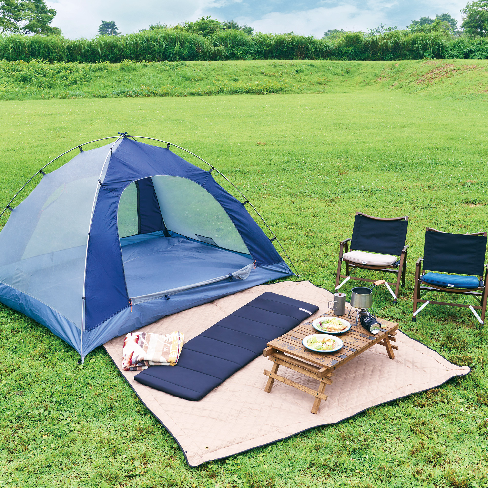 楽天市場】【公式】エアウィーヴ ポータブル mini (50cm×170cm