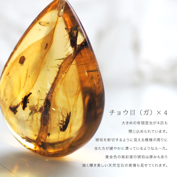 楽天市場】【バルト海の琥珀】ペンダントトップ 虫入り琥珀 こはく
