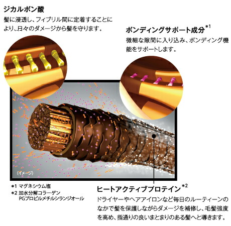 楽天市場】【 最短即日発送 サロン専売品 正規品 】 Schwarzkopf