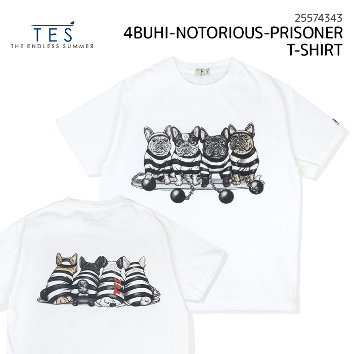 楽天市場】THE ENDLESS SUMMER ザ エンドレスサマー TES 4BUHI