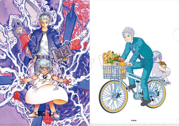 楽天市場】金色のガッシュ！！ クリアファイル デュフォー＆ゼオン