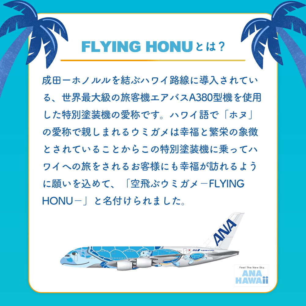楽天市場】【ANA FINDELISH 】青組FLYING HONU-フライングホヌ- 10袋