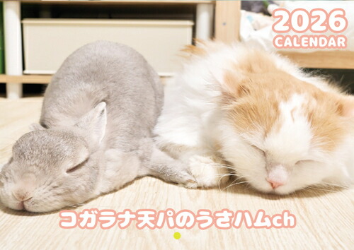 楽天市場】【予約販売】 うさぎのコガラナ天パのうさハムch 2026年