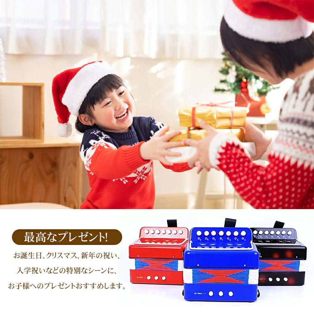 楽天市場】ピアノアコーディオン アコーディオン 楽器 10鍵 初心者