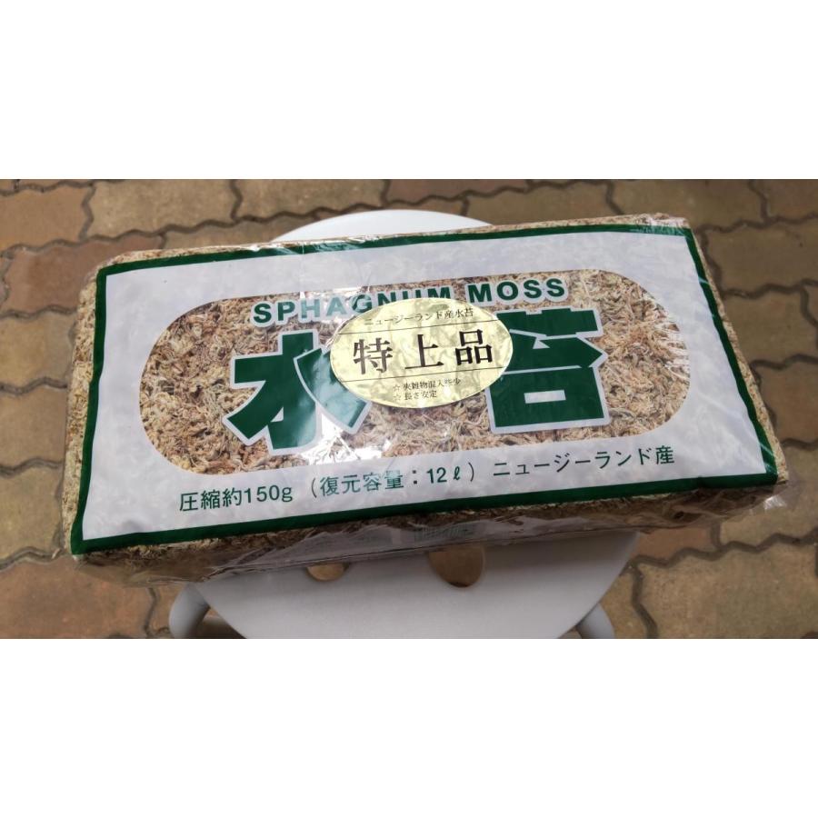 水苔 ニュージーランド産 5A」の人気商品一覧 | 安い商品を通販サイト