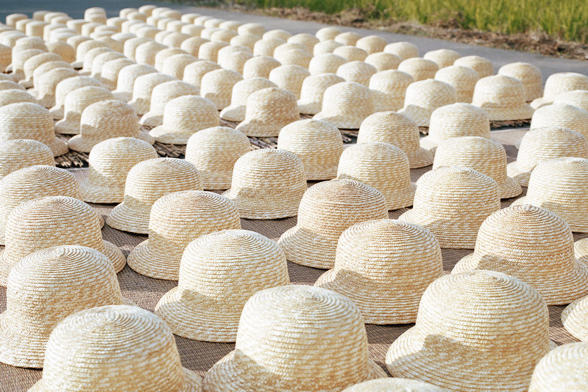 楽天市場】麦わら帽子 田中帽子店 Olivia(オリビア)女優帽 リボン