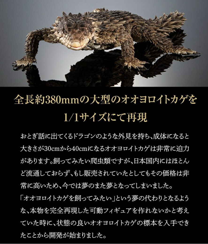 楽天市場】いきもの大図鑑アルティメット 【オオヨロイトカゲ】 : A