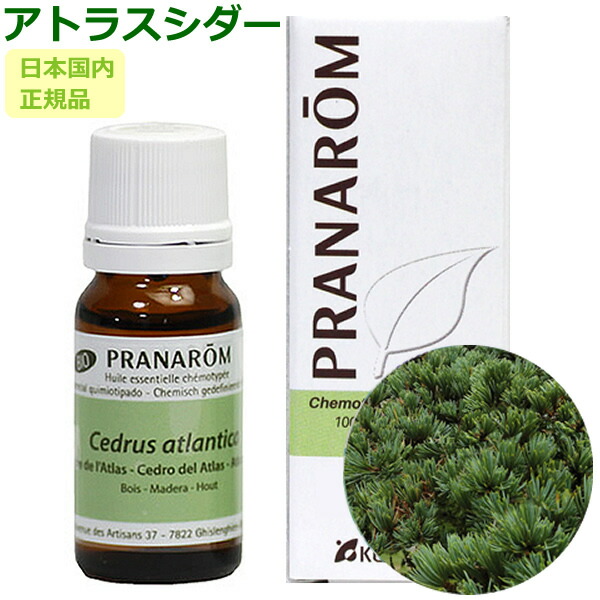 楽天市場】プラナロム シ アバターの通販