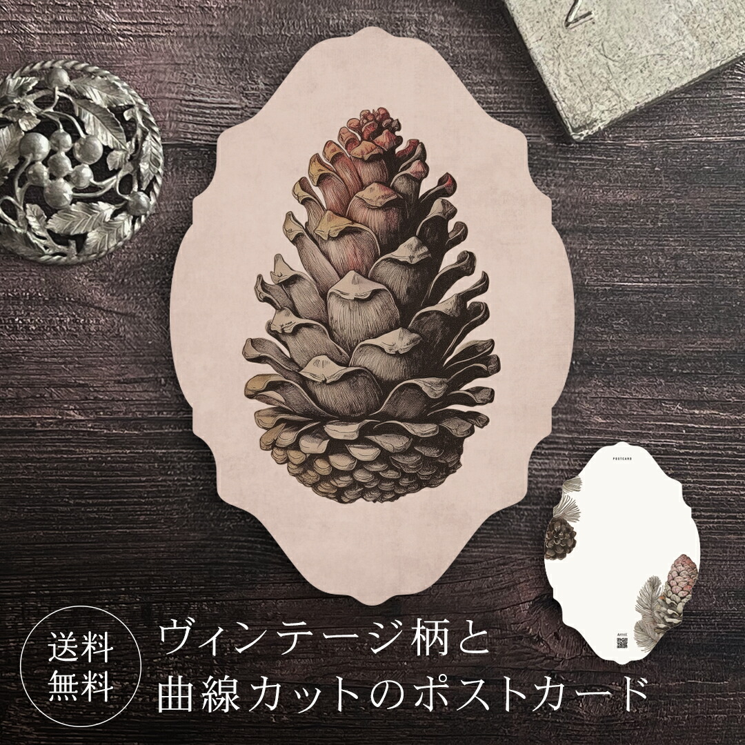 楽天市場】ポストカード 松ぼっくり 【送料無料】 ヴィンテージ 葉書