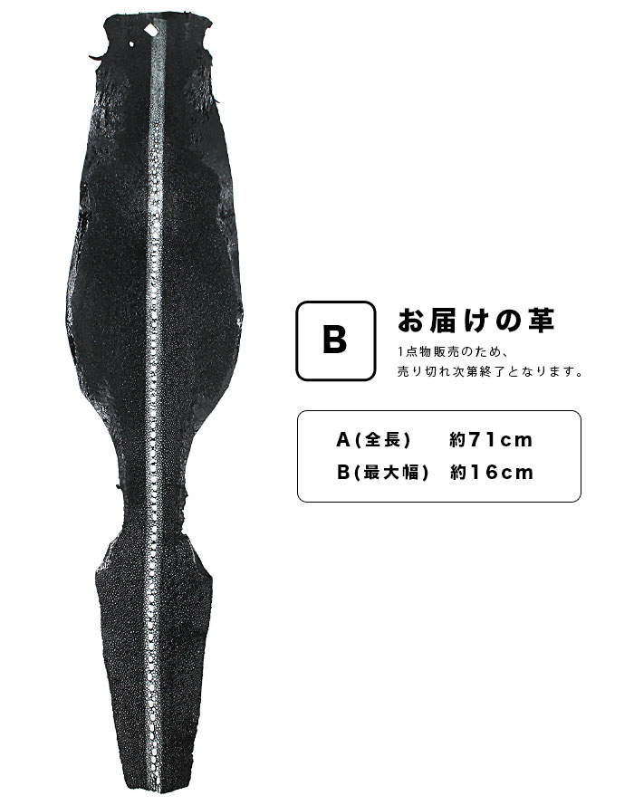 楽天市場】革販売 連石 スティングレイ 通常研磨 6インチ ブラック