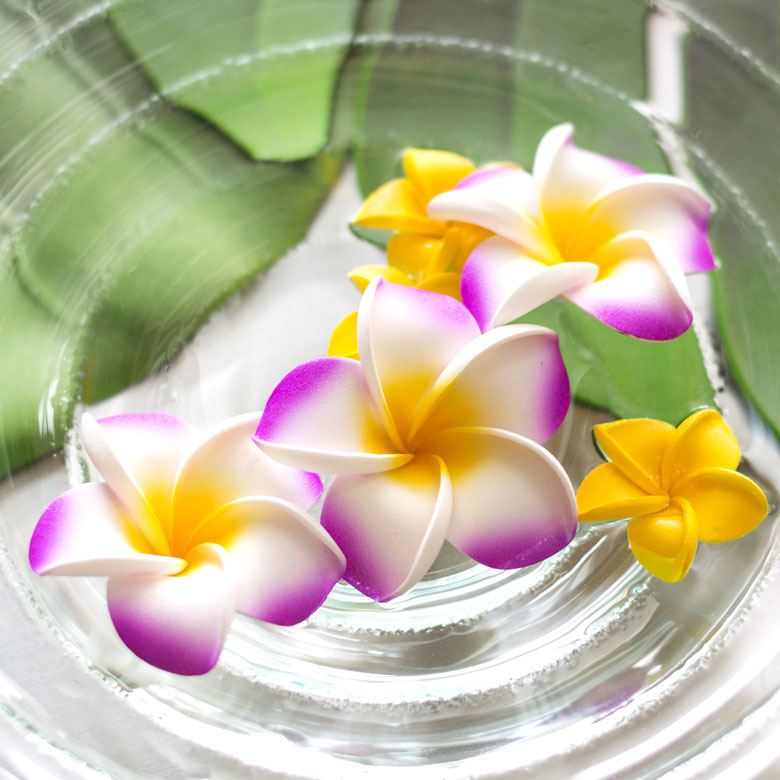 楽天市場】プルメリア アジアン 造花 スタンダードタイプ Mサイズ