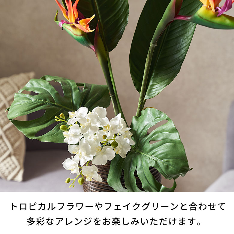 楽天市場】ストレリチア 造花 ストレチア トロピカル 南国 極楽鳥花