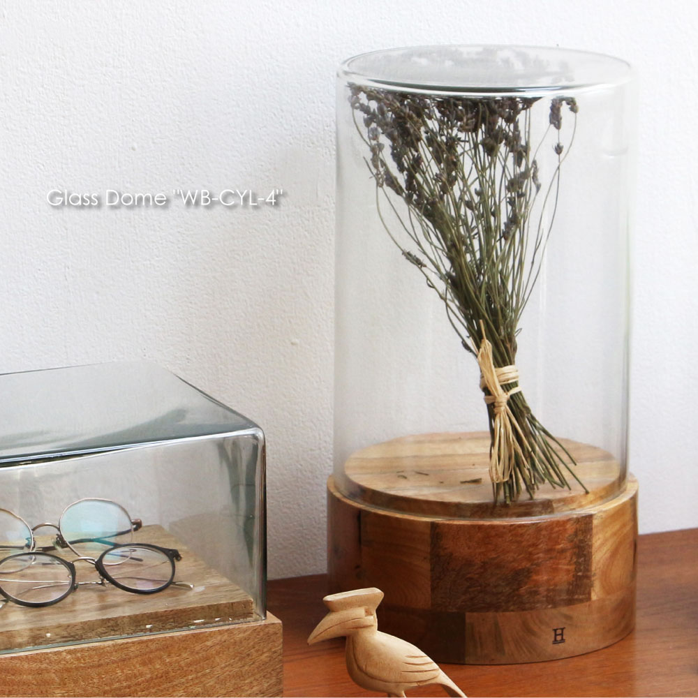 楽天市場】Glass Dome 