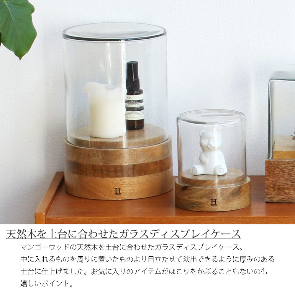 楽天市場】Glass Dome 