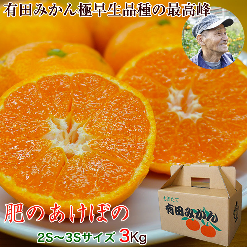 楽天市場】2025年 ご予約開始 有田みかん極早生品種の最高峰！ 幻の