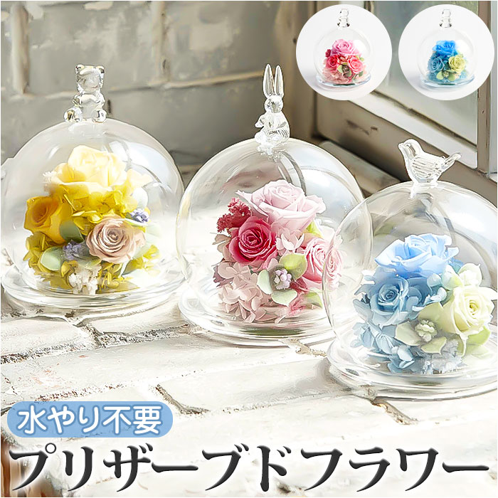 楽天市場】プリザーブドフラワー ガラスドーム 通販 フラワー