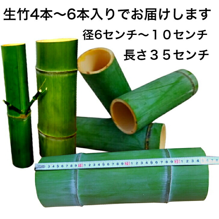 楽天市場】竹 竹材 孟宗竹 青竹 大小4本〜6本入り DIY 手作り 竹工芸