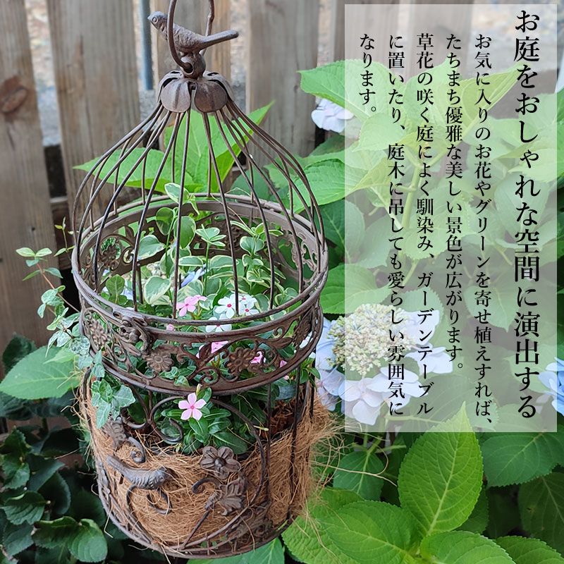 楽天市場】アンティーク調 フラワーバードケージ ブラウン Mサイズ