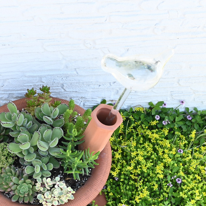 楽天市場】esschert design テラコッタ製給水スパイクとウォータリング