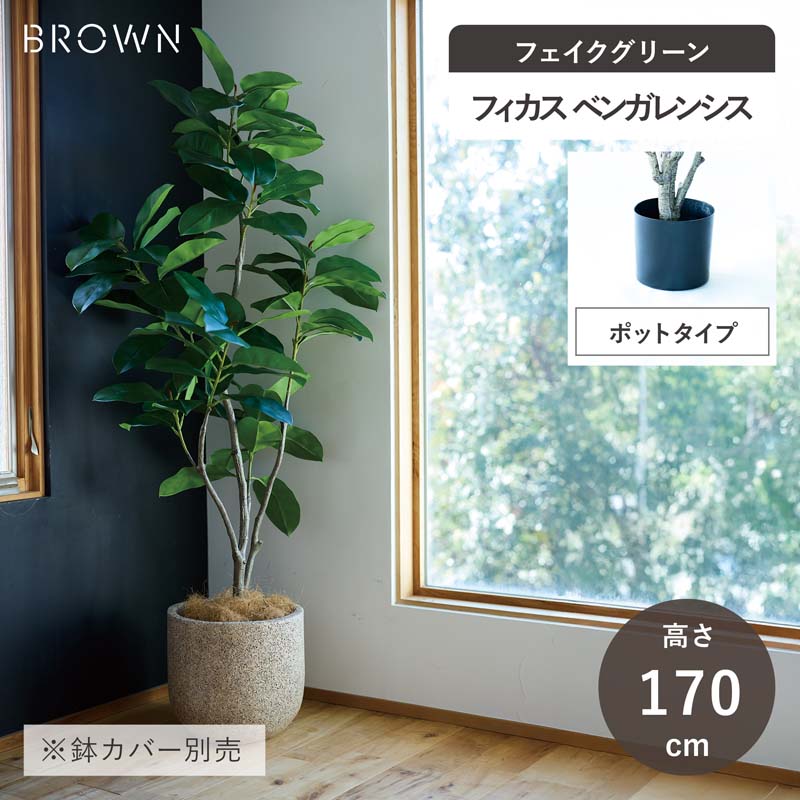 楽天市場】【フェイクグリーン】 フィカス ベンガレンシス ポット 135