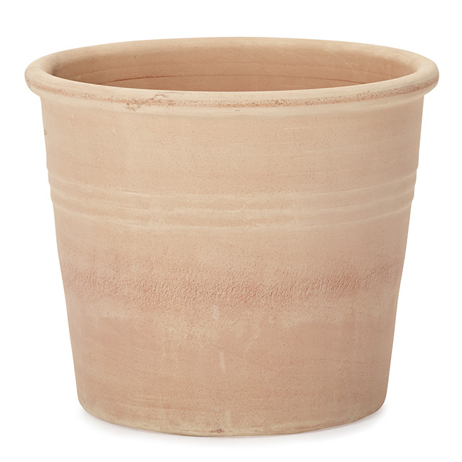 素焼き鉢 15号」の人気商品一覧 | 安い商品を通販サイトから探す