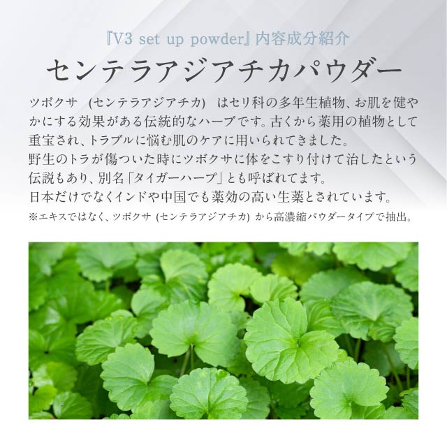 楽天市場】V3セットアップパウダー シャイニー 11.5g 正規品 スピケア