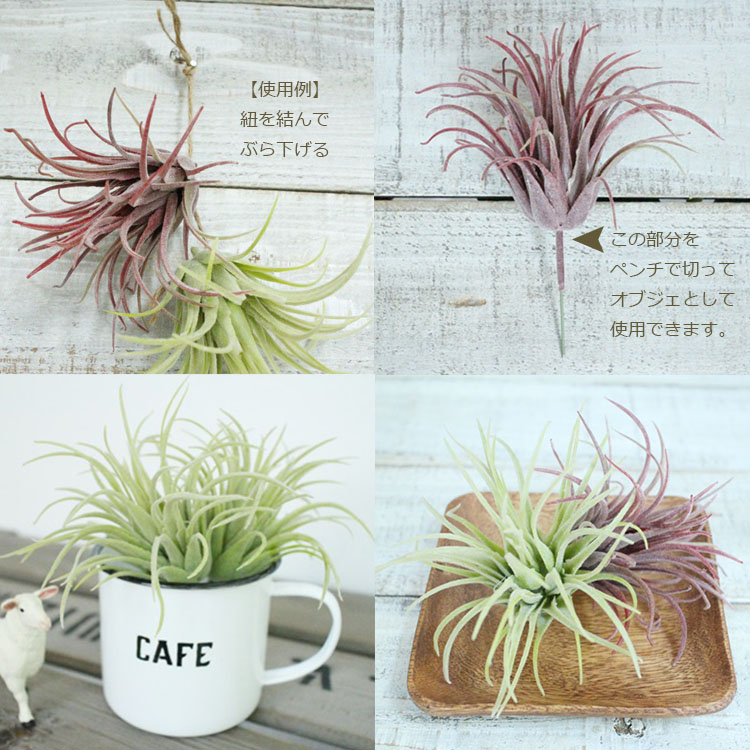 楽天市場】【いなざうるす屋】フェイクグリーン ティランジア