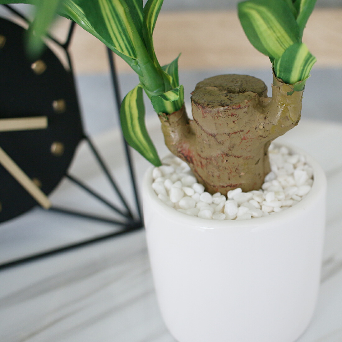 楽天市場】光触媒 フェイクグリーン 観葉植物 人工 造花 抗菌 消臭