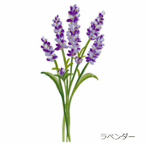 楽天市場】フラワーパーツ フラワーマーケットカード : ベルセーブ