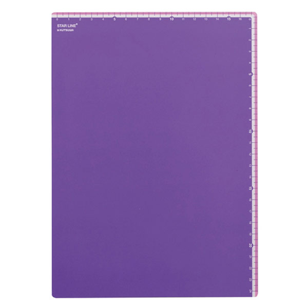 楽天市場】B5学校下じき【ST106】B5サイズ 全4色 BLブルー/MTミント