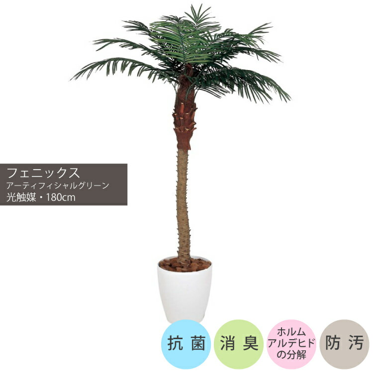 観葉植物 人工観葉植物 フェニックス」の人気商品一覧 | 安い商品を