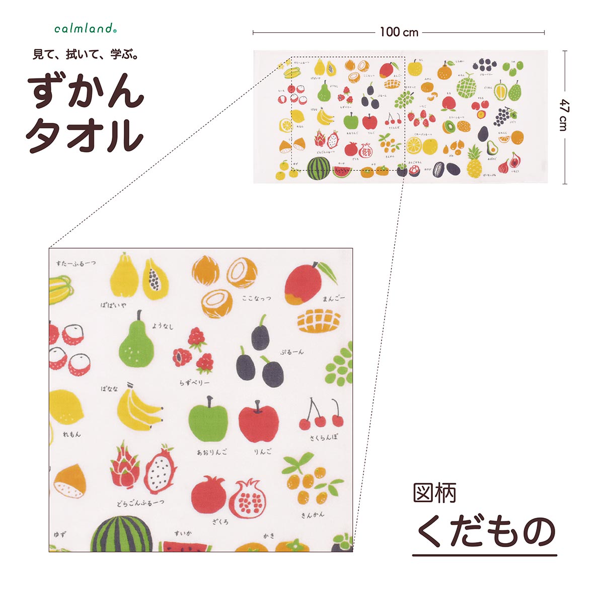 楽天市場】見て 拭いて 学ぶ 知育 タオル 「 ずかんタオル 」 ミニバス