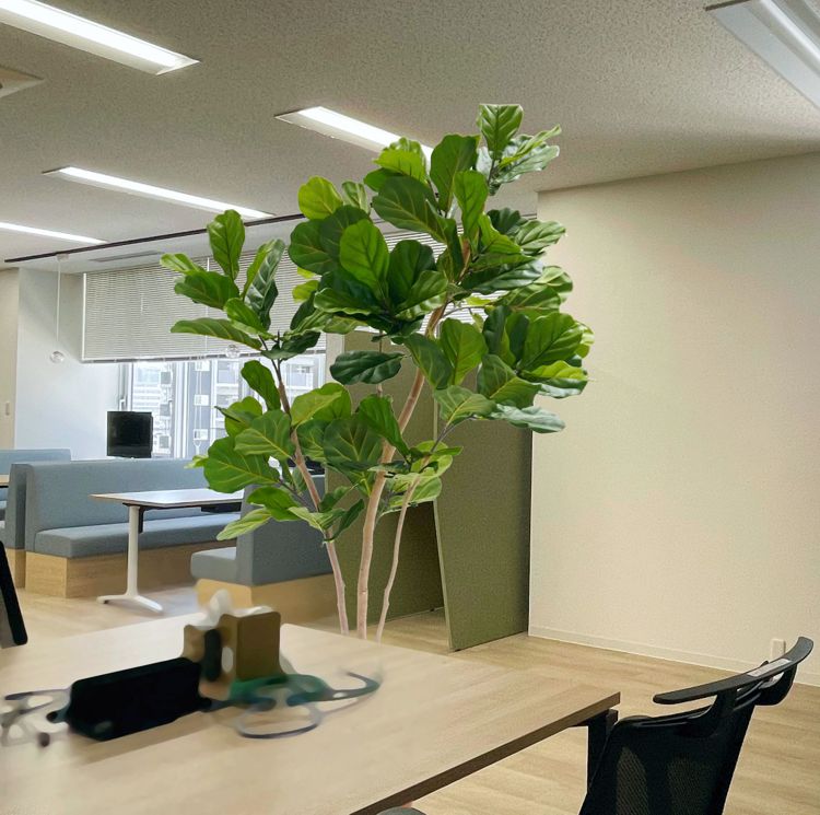 楽天市場】カシワバゴム の木 180cm (フェイク グリーン 造花 フィカス