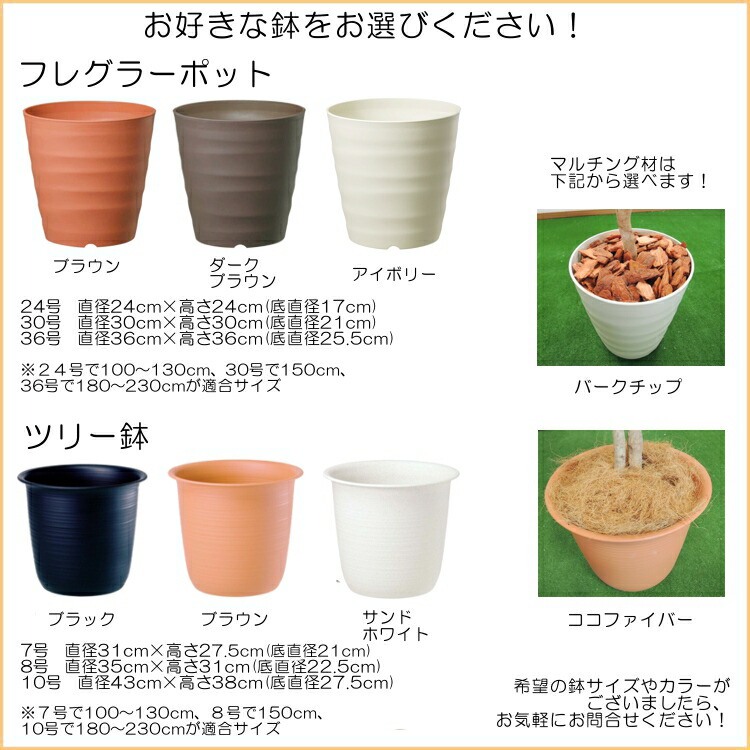 楽天市場】盆栽風 モミジレッド 150cm (造花 観葉植物 鉢植え 紅葉 赤