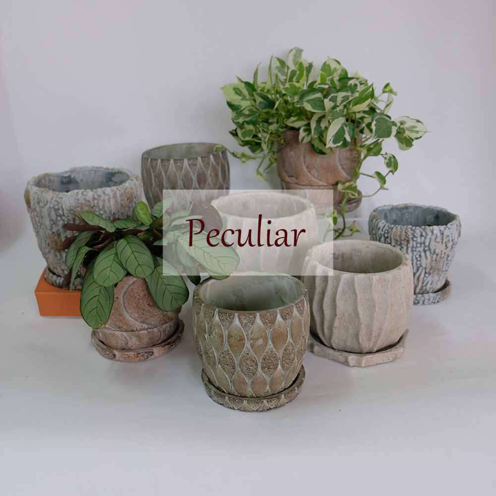 楽天市場 | ガーデニング日和 - ガーデンライフが楽しくなるような雑貨